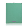 NueVue Aqua Green Apple iPad Case